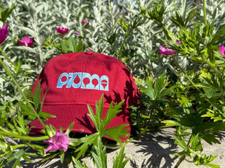 Signature Hat